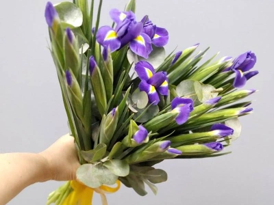 Букет из ирисов