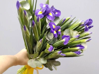 Букет из ирисов