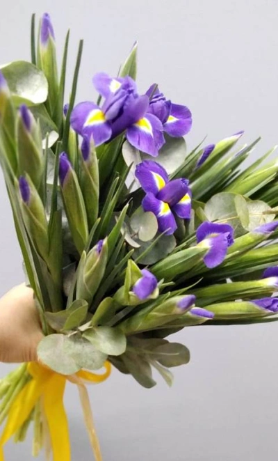 Букет из ирисов