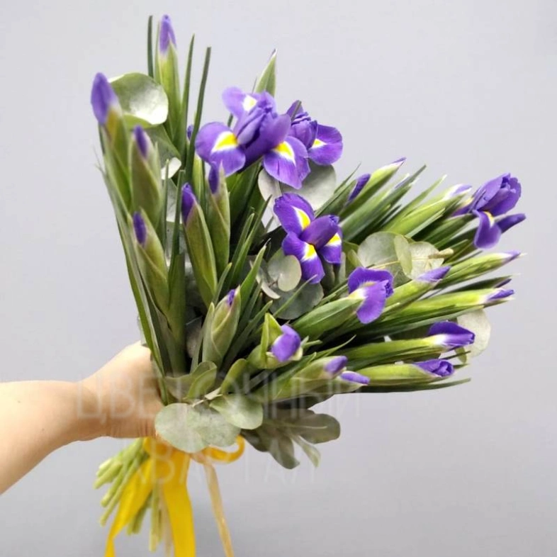 Букет из ирисов