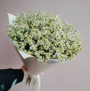 Букет &laquo;Счастье из ромашек&raquo; 0