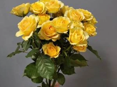 Букет из 7 веточек желтых кустовых роз