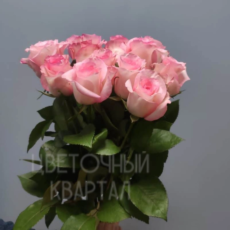 Букет из 11 классических роз