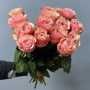 Букет из 15 розовых роз