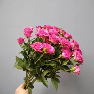 Кустовые розовые розы 0