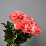 Каталог роз от Студии «Цветочный Квартал» в Бутово